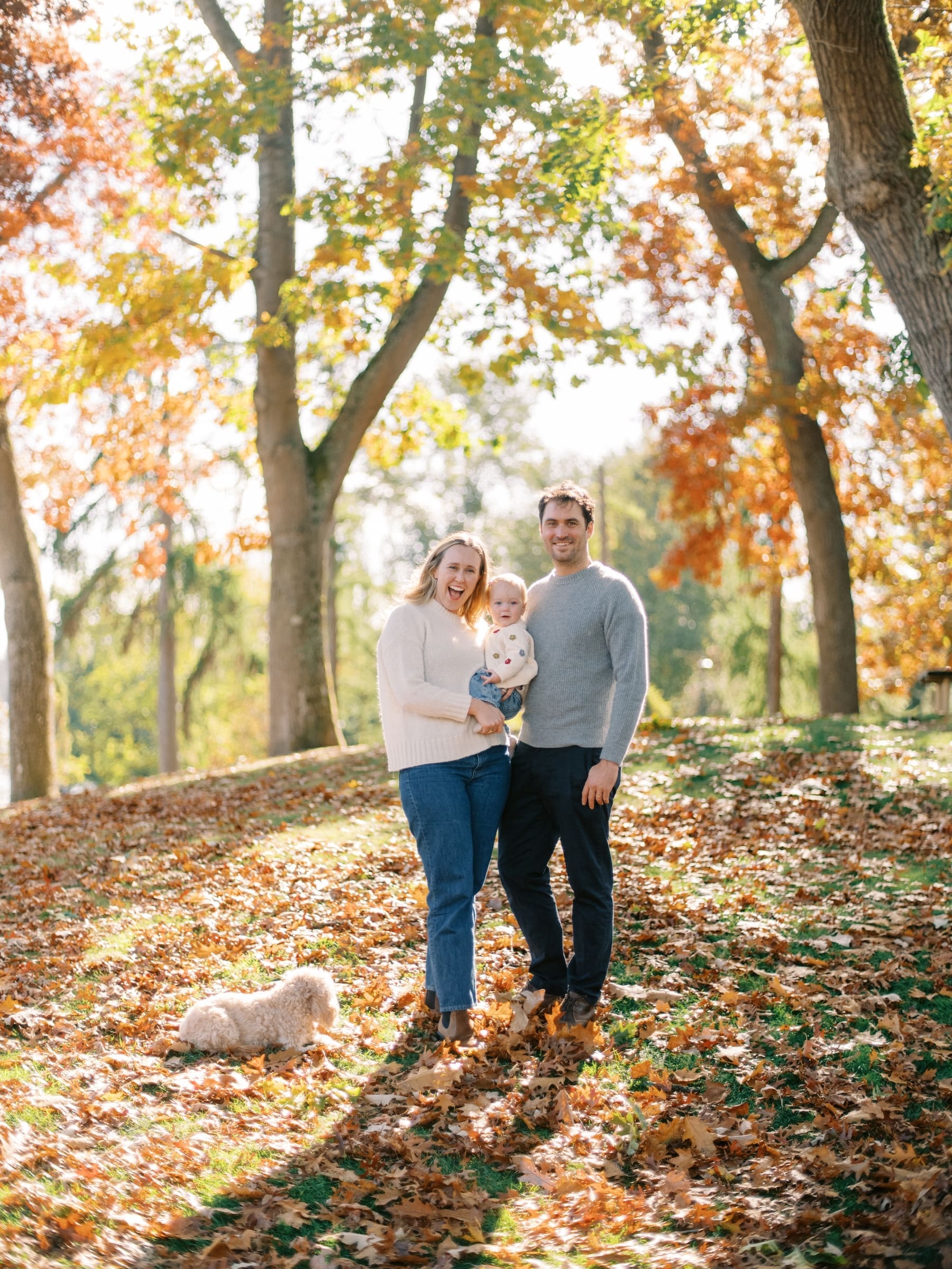 Seattle fall mini session: Family portrait with baby and dog in autumn leaves at Higgins.jpg