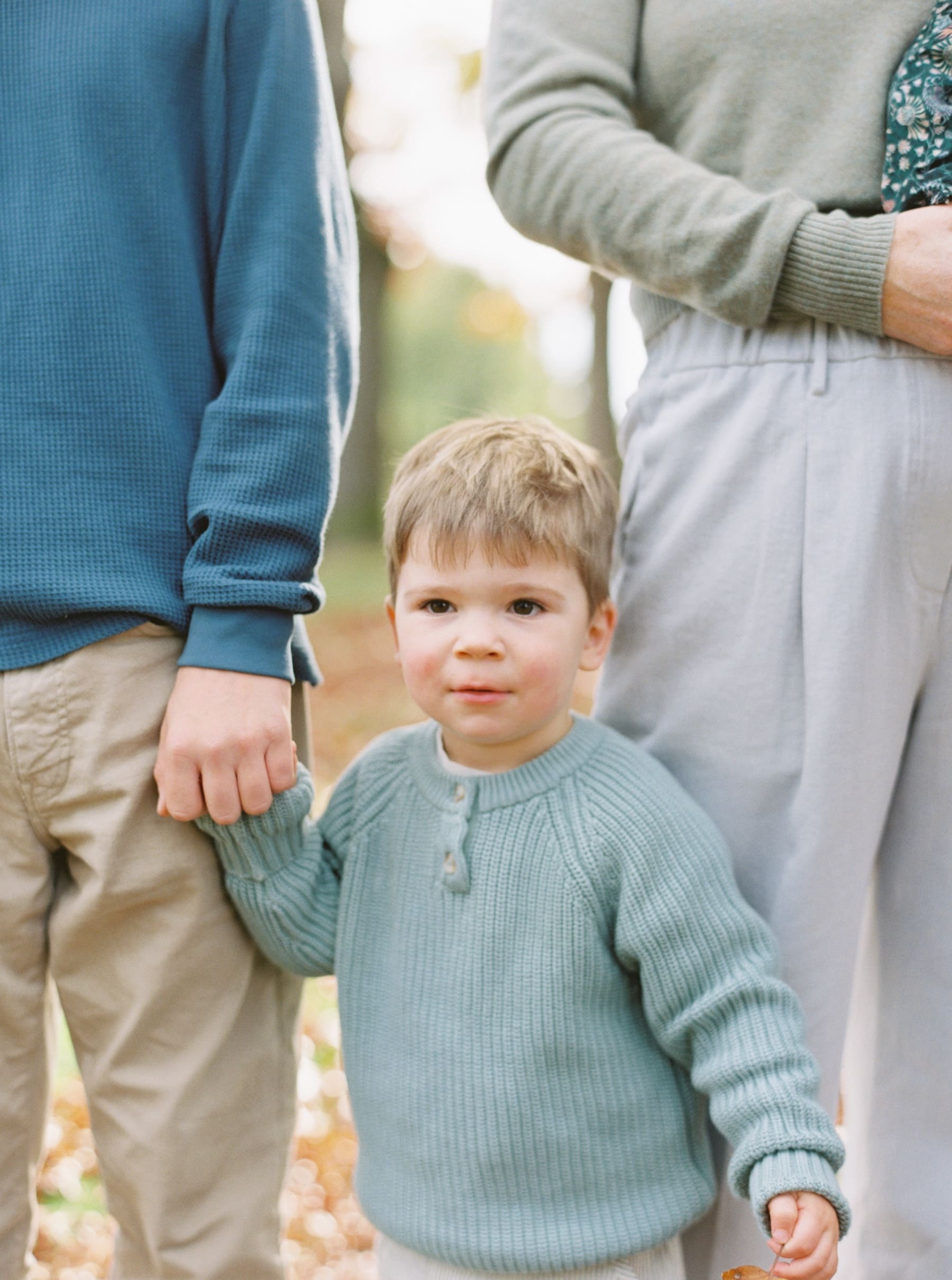 Seattle Fall Mini Session: Young boy in sweater holding hands outdoors. Kauffman family photos.