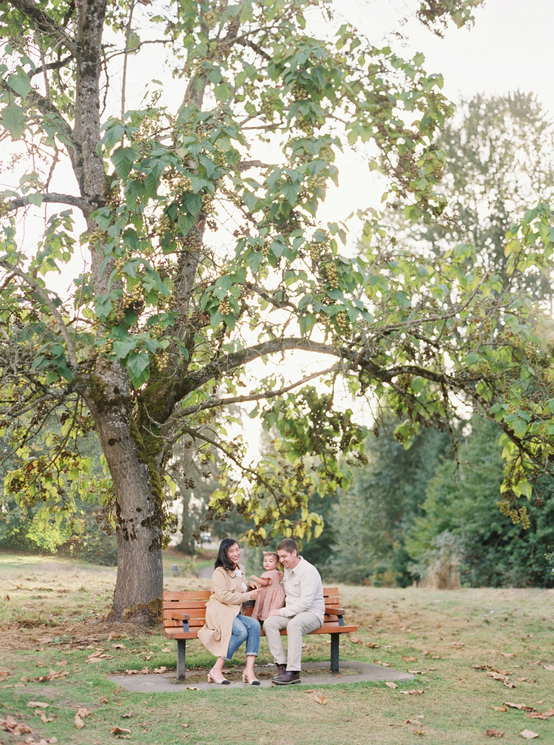 A family of three sits on a wooden park bench under a large leafy tree at Juanita Bay Park. The parents smile at their young child, captured in this bright, greenery-filled moment by a skilled Kirkland Family Photographer.