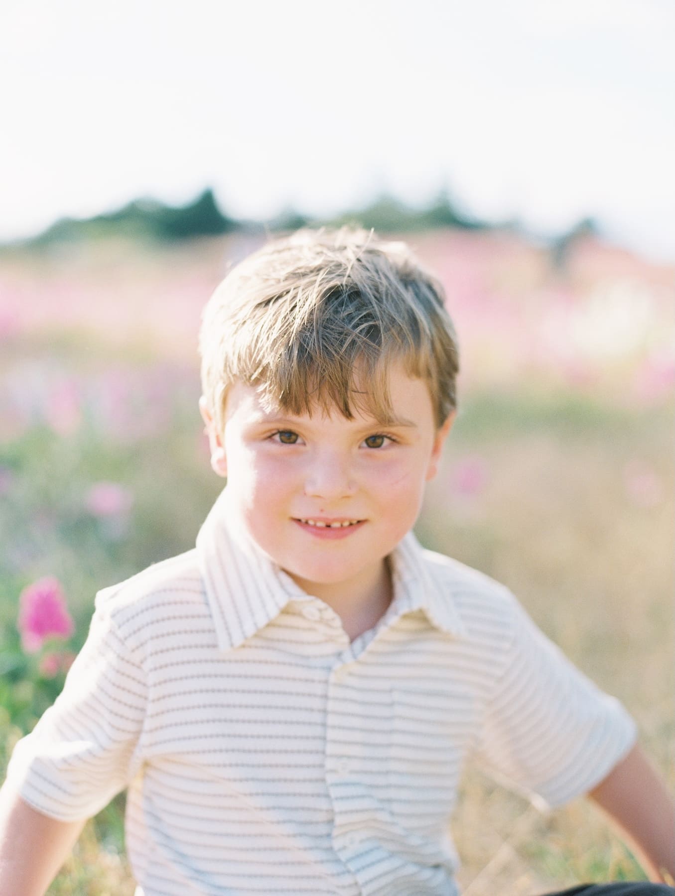 Young boy with light brown hair wearing a striped polo shirt poses in a sunlit meadow of soft pink flowers.