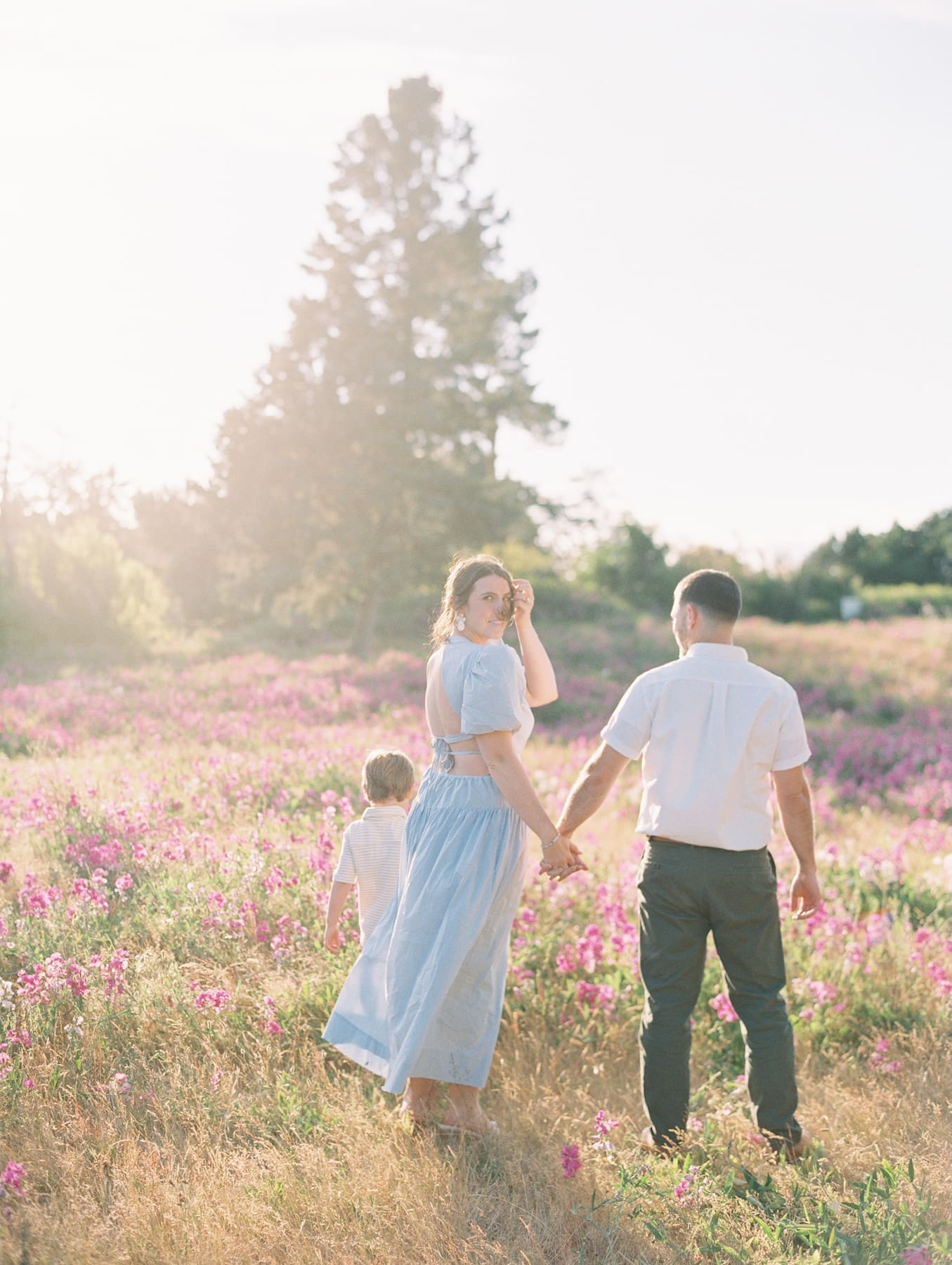 Family walking through a field of purple flowers at sunset in Discovery Park, Seattle.
